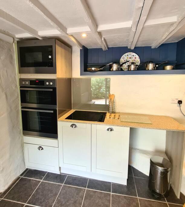 Mill Cottage Garden Annexe Newton Abbot Εξωτερικό φωτογραφία