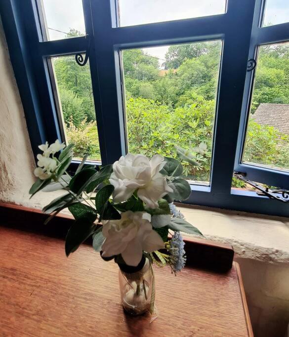 Mill Cottage Garden Annexe Newton Abbot Εξωτερικό φωτογραφία